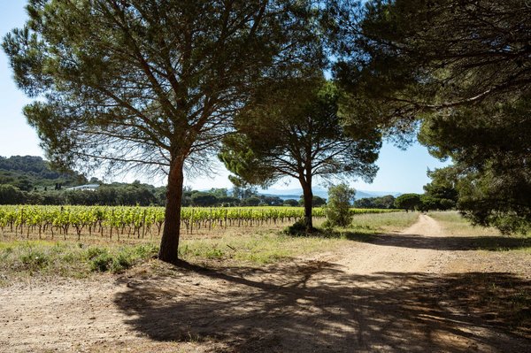 Vacances détente dans le Var